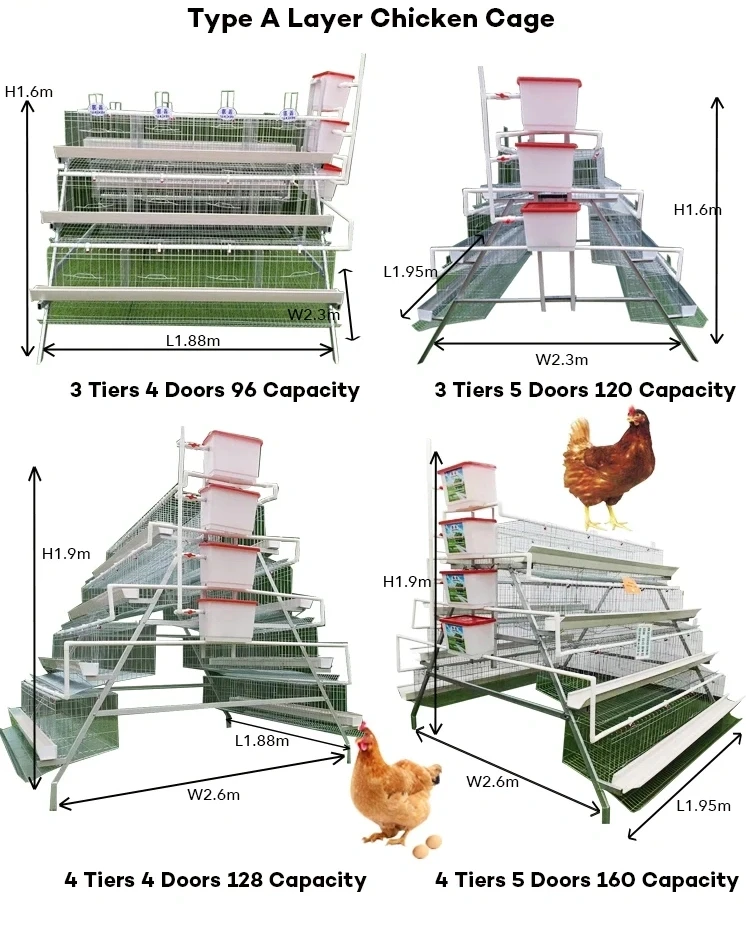 Factory Supply cages for laying hens automatic feeding system for poultry farm equipment