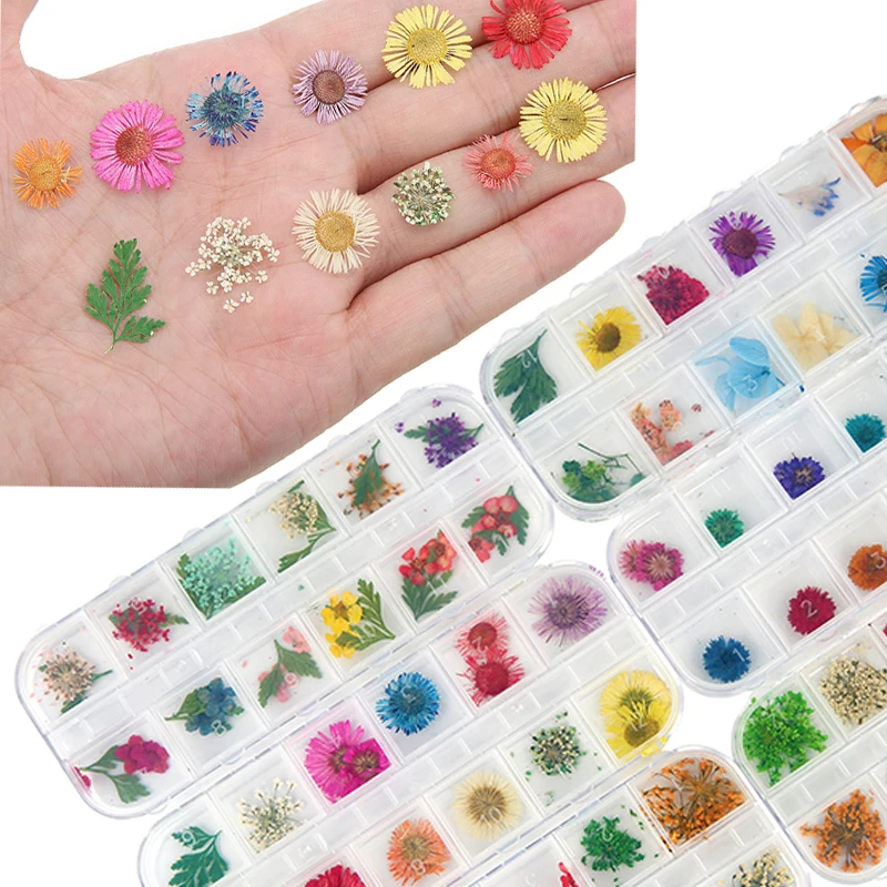1box Mixed Color Dried Flower for Nail Sticker Resin Supplies Fillings Natural Flower Art Handicrafts Jewelry Making Findings