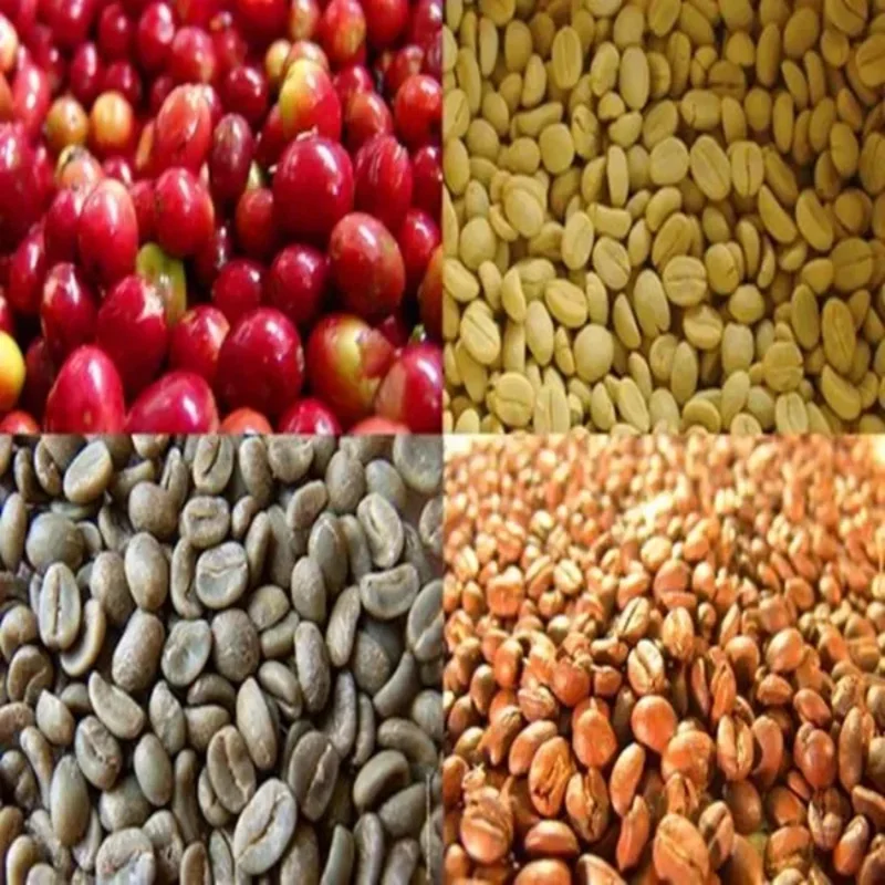 

Professional Processing Hulling Dry Automatic Coffee Bean Peeling Machine