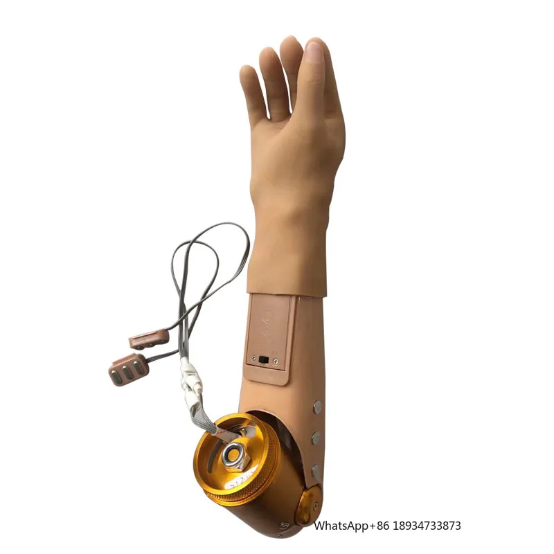 Artificial Limbs Prosthetic Arm Myoelectric Control with Two Degrees Of Freedom Prosthetic hand For children