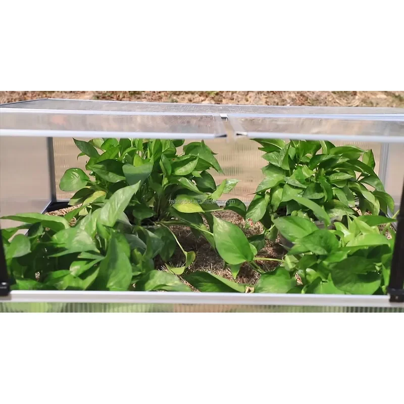 Aluminum Cold Frame Greenhouse Kit for Raised Garden Beds Easy Assembly Independent Opening Tops Pressure Treated Natural