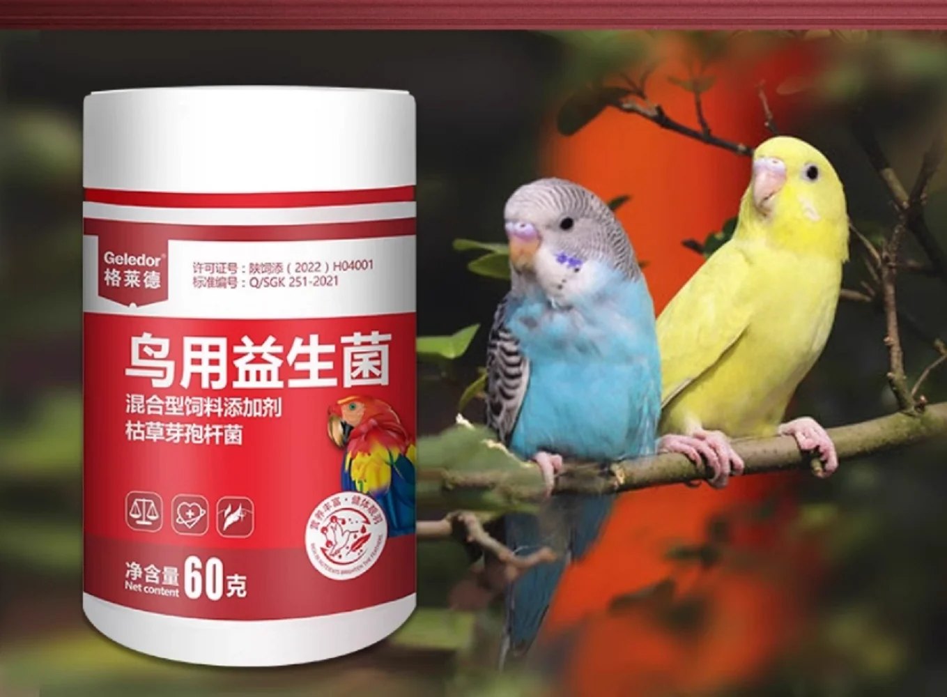 Пробиотический порошок для птиц помогает сооруженным здоровьем пищеварительной диареей. Медленное пищеварение и проблемы с кишечными зубьями мийна.