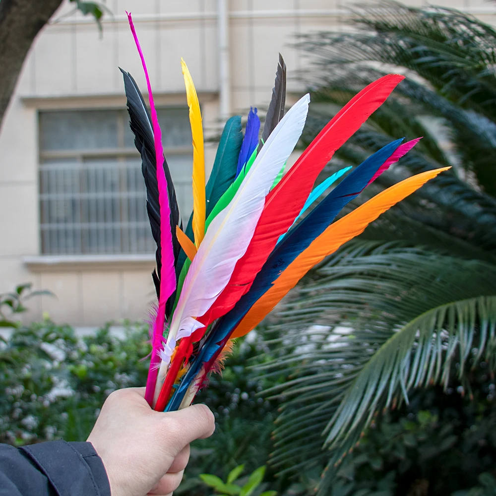 Plumes d'Oie Teintées en Vrac pour Décoration Artisanale, Carnaval, ixde Mariage, Artisanat, 25-30cm, 100 Pièces