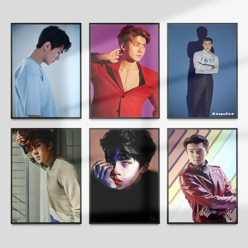 Oh Se Hun Singer Actor Art Print Star Poster Sehun Photo Modern Fashion Wall Picture Canvas Painting