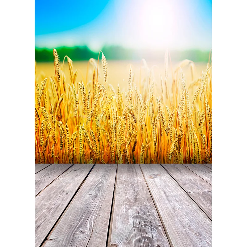 SHUOZHIKE-fondos de fotografía con suelo de madera, paisaje de cielo y mar, retrato de bebé, estudio fotográfico, 21415 FGM-01