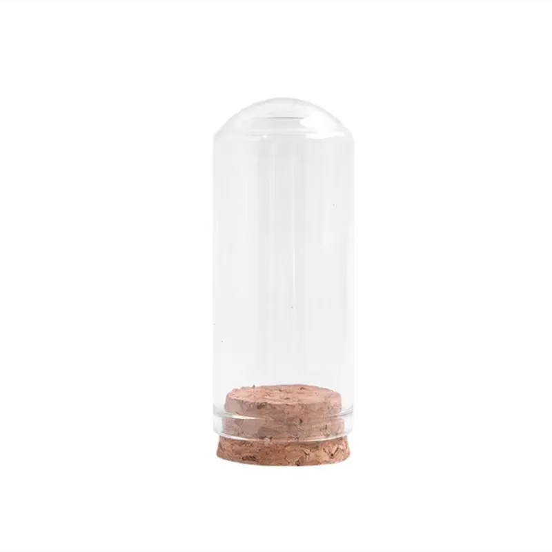 60pcs Dia30mm High Clear Mini Glass Cloche Dome Display Glass Jar Round Glass Test Tube Flower Vase with Cork
