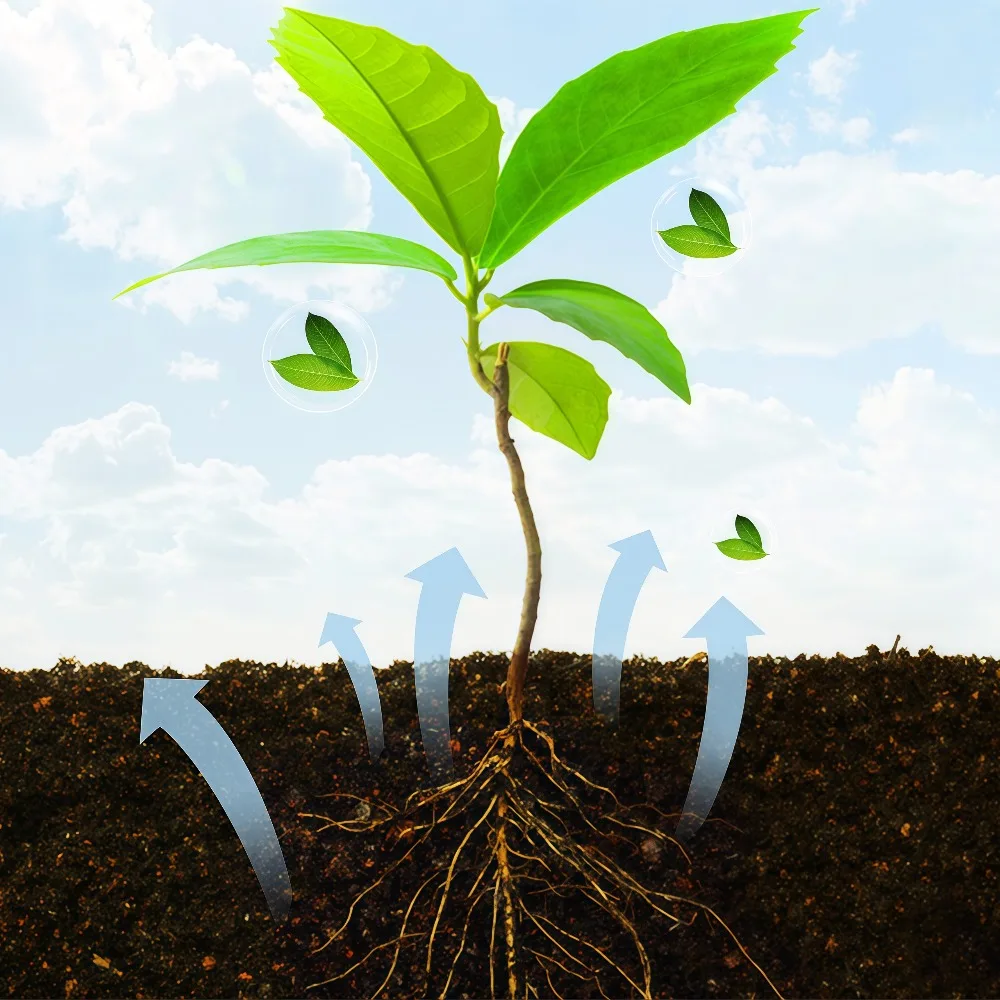 Rare Plant Rooting Powder Enhances Fruit Flower Rapid Rooting Nutrition in Hydroponics Garden Nutrition for Plant Growth Rooting