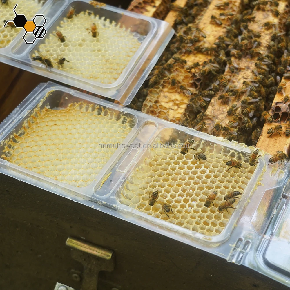 

Plastic Honeycomb Frame Comb Honey Box Foundation and Cassettes for Langstroth Frame