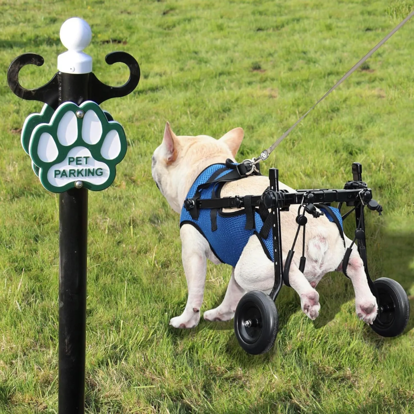 Small Dog Disabled Paralyzed Rehabilitation Wheelchair Four-Wheeled Elderly Mobility Aid Car Pet Hind Leg Support Vehicle