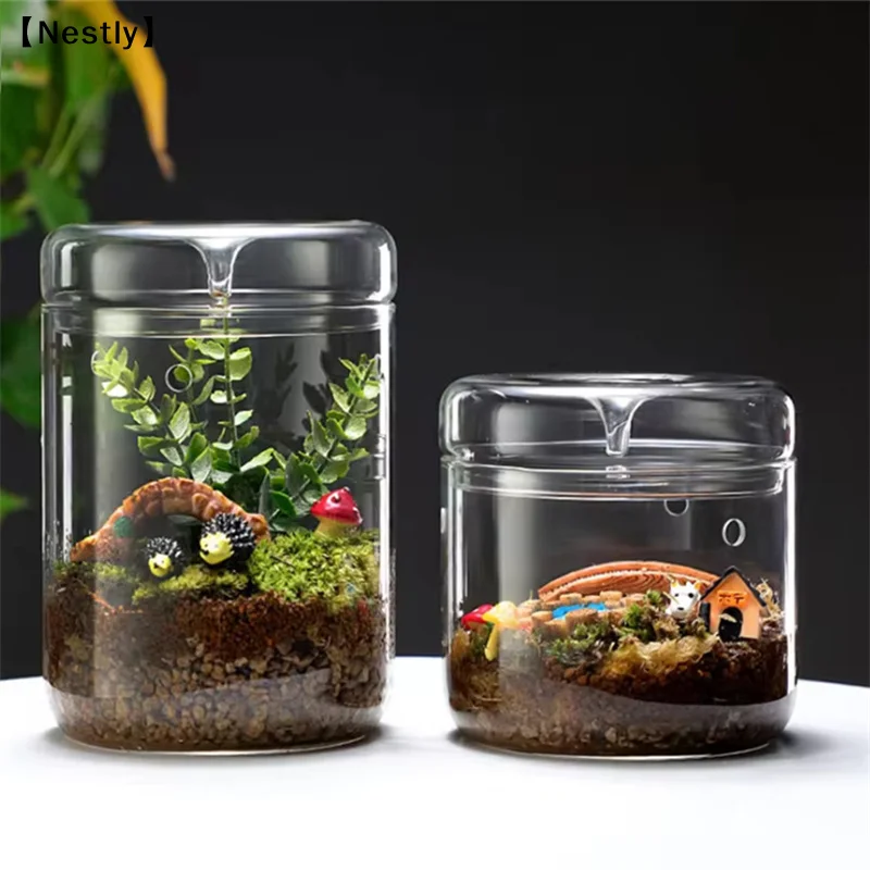 Glasflaschen Kreativität Tautropfen-Kollektion Glasvase Mikrolandschaft Sukkulenten-Moos-Landschaft Glas-Terrarium Heimdekoration〔Nest〕