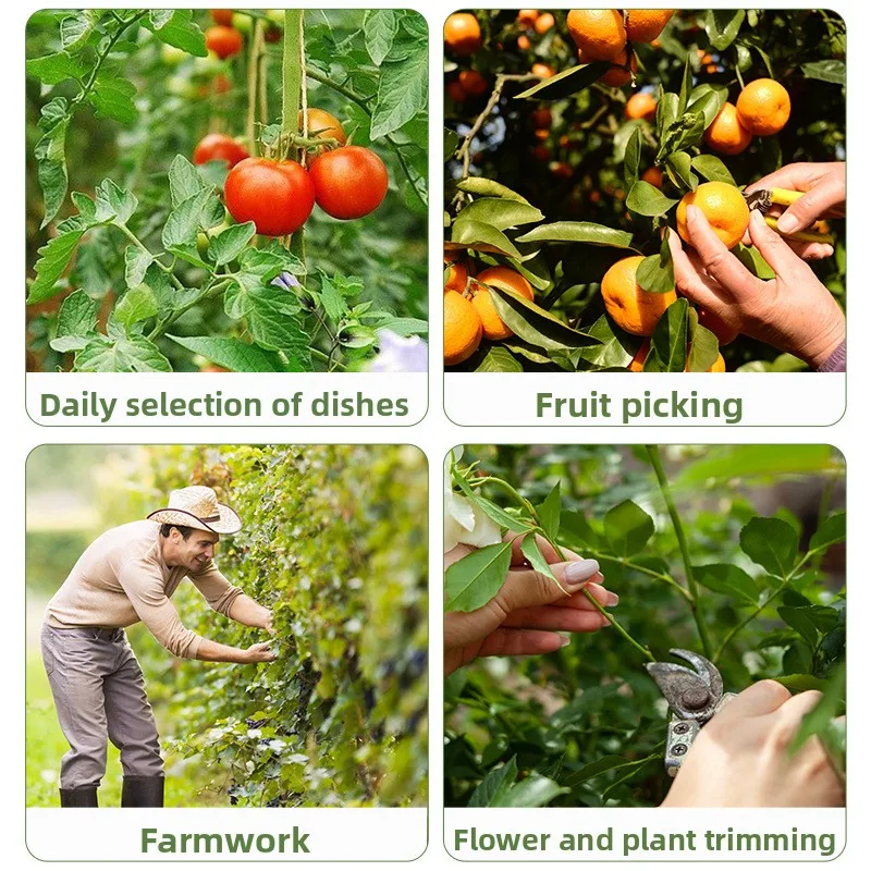 Thumb Knife for Harvesting Mini Pruner for Grapes Cucumbers Vegetables Leaf Trimming and Picking Tool Stainless Steel Blade
