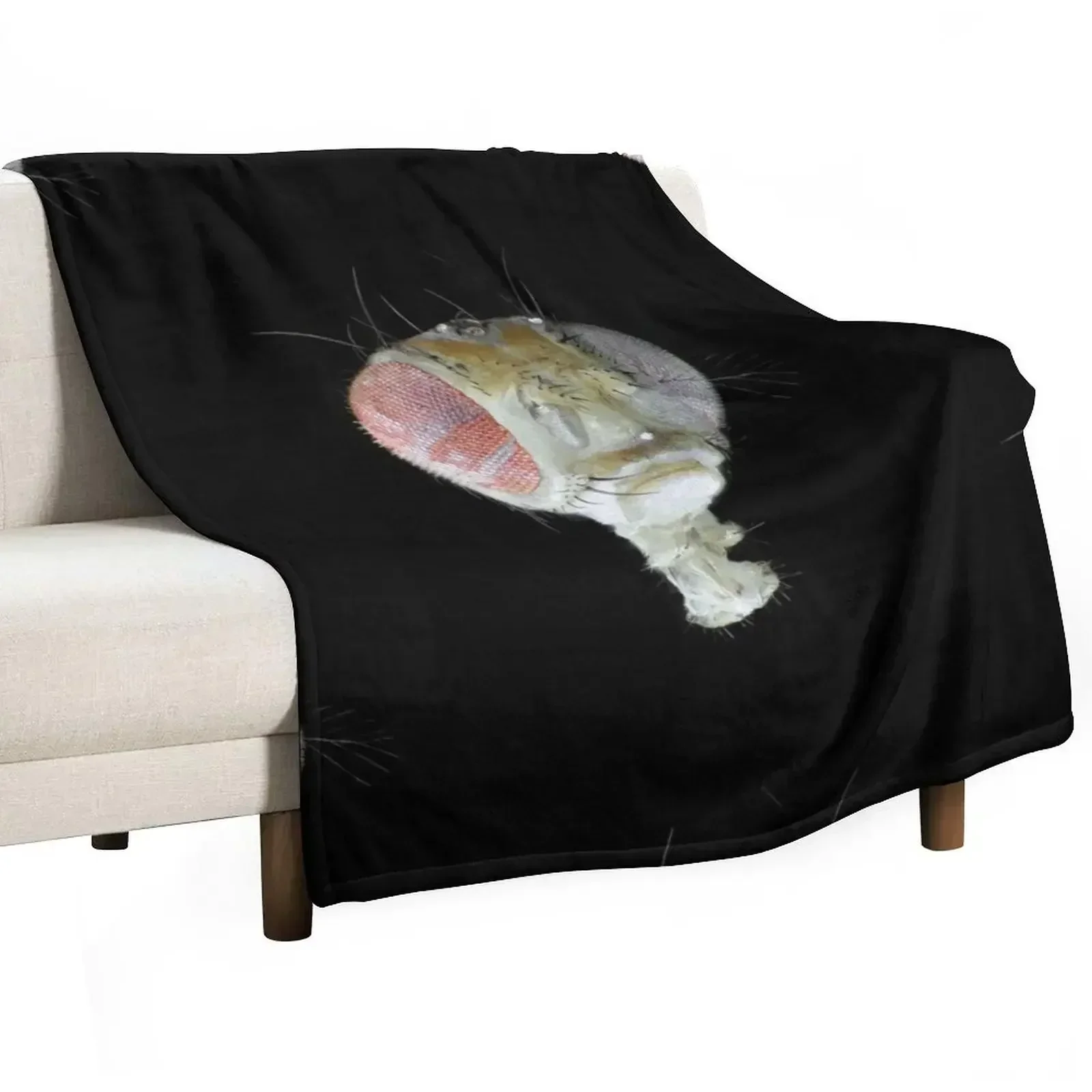 

Head of Drosophila under the microscope Throw Blanket Hairys Soft Beds christmas gifts valentine gift ideas Blankets