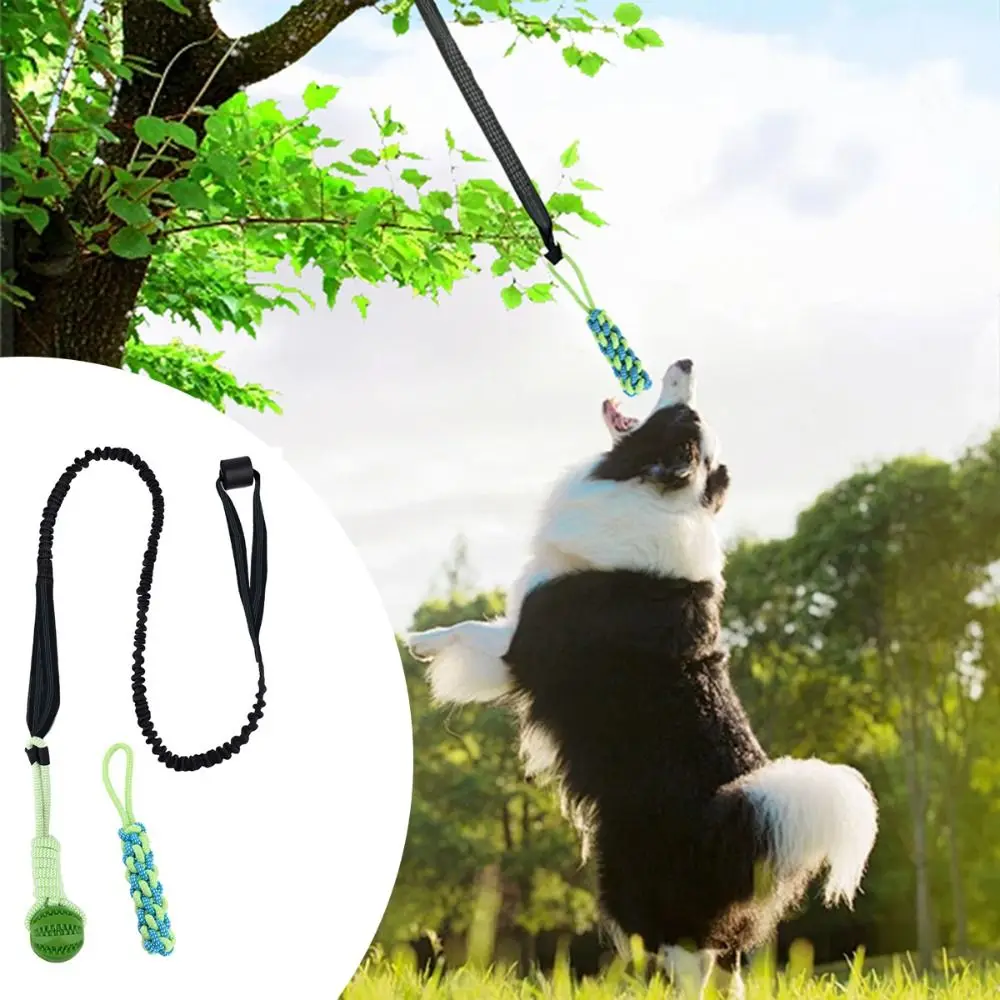 Interactive Dog Ball Toy with Rope Tether Tug of War Solo Play Bite Resistant Chew Toys Puppy Training Spring Pole Dog Rope Toys