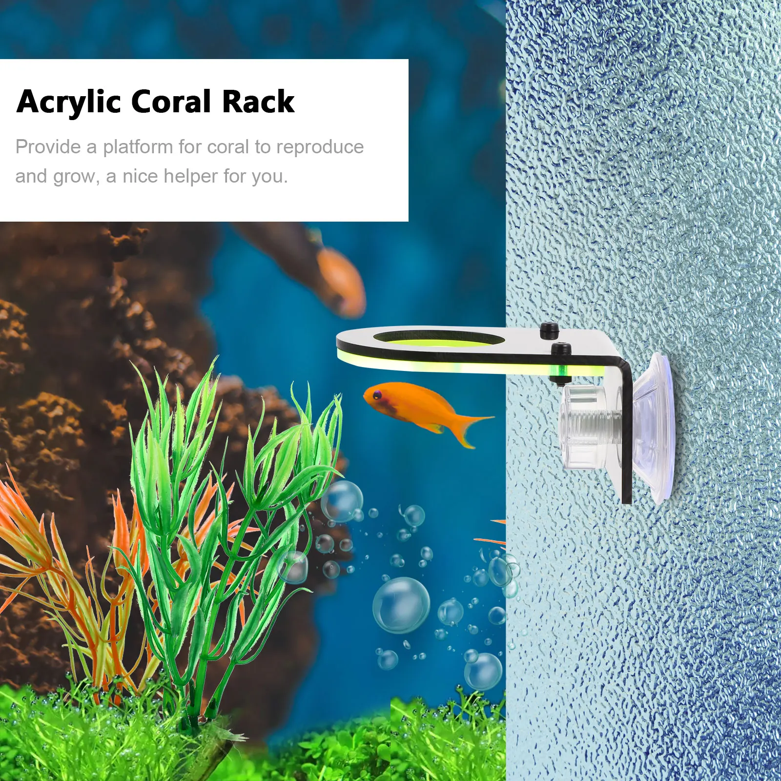 

2 pcs Coral Holder Acrylic Coral Rack Aquarium Fish Tank Decor Bracket Stable Performance Long Service Time Pet Supplies