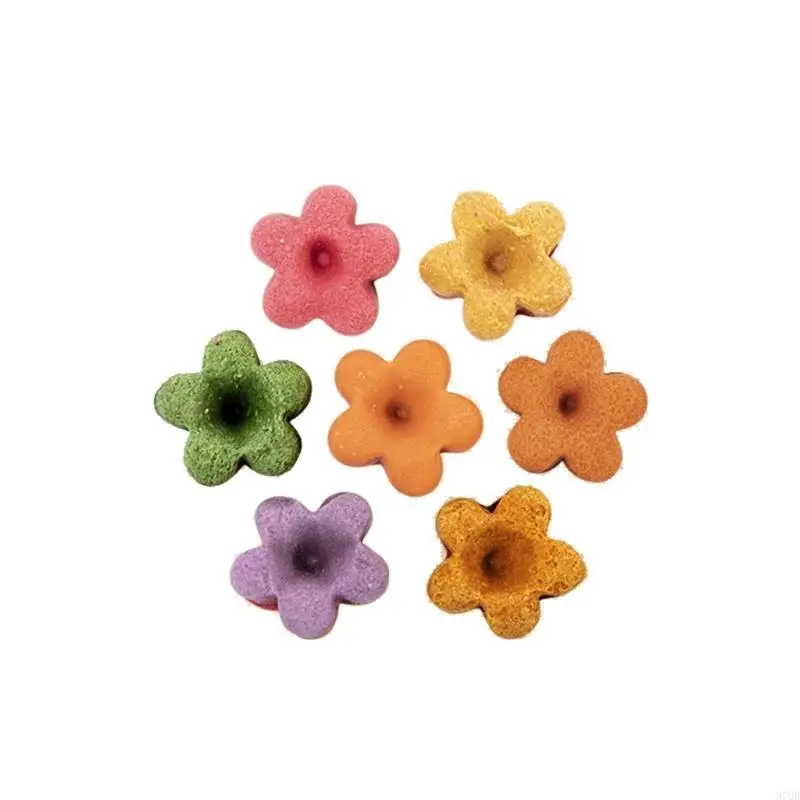 97QD VET MOLARS Màu rau tự nhiên Làm sạch bánh quy Hamster Chinchilla Đồ chơi Molar