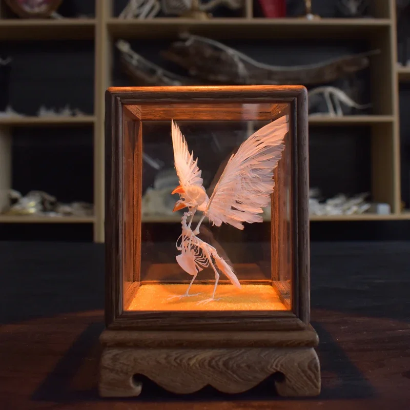 2127 Pearl Bird Skeleton model Art Display Case Resin Art Gothic Home Decor Ethical Craft Friendly Scientific As Halloween decor