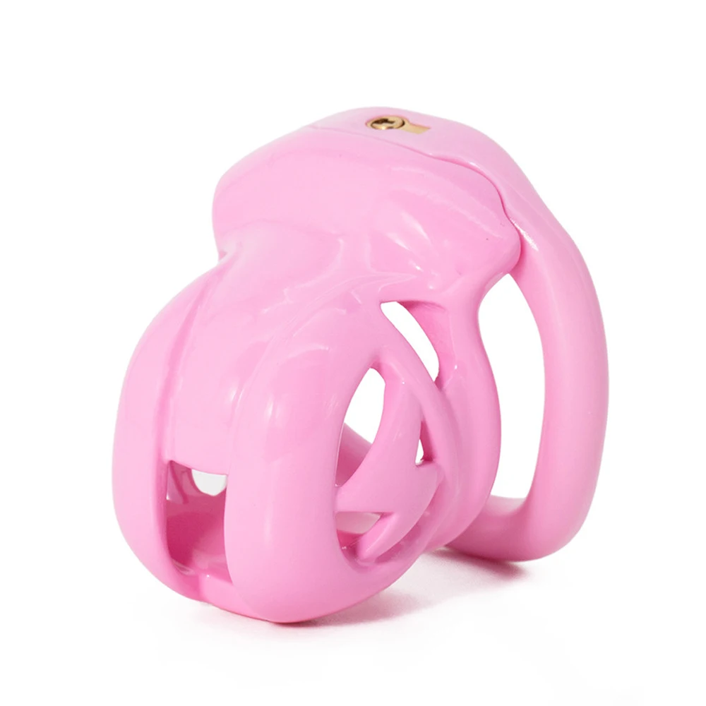 High quality Chastity Lock Cock Cage 3D Invisible Lock with 4 Arc Ring Testicle Chastity Belt BDSM Toy Hentai Bondage Sex ToyS