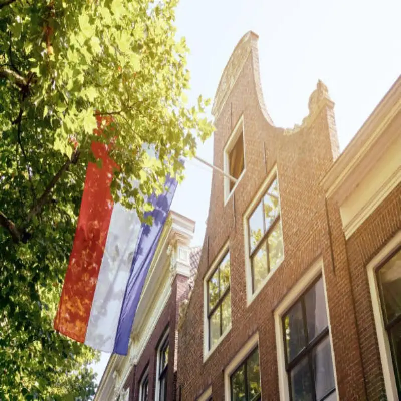 Johnin Bandera Holanda – Decoración exterior e interior - imagen 2