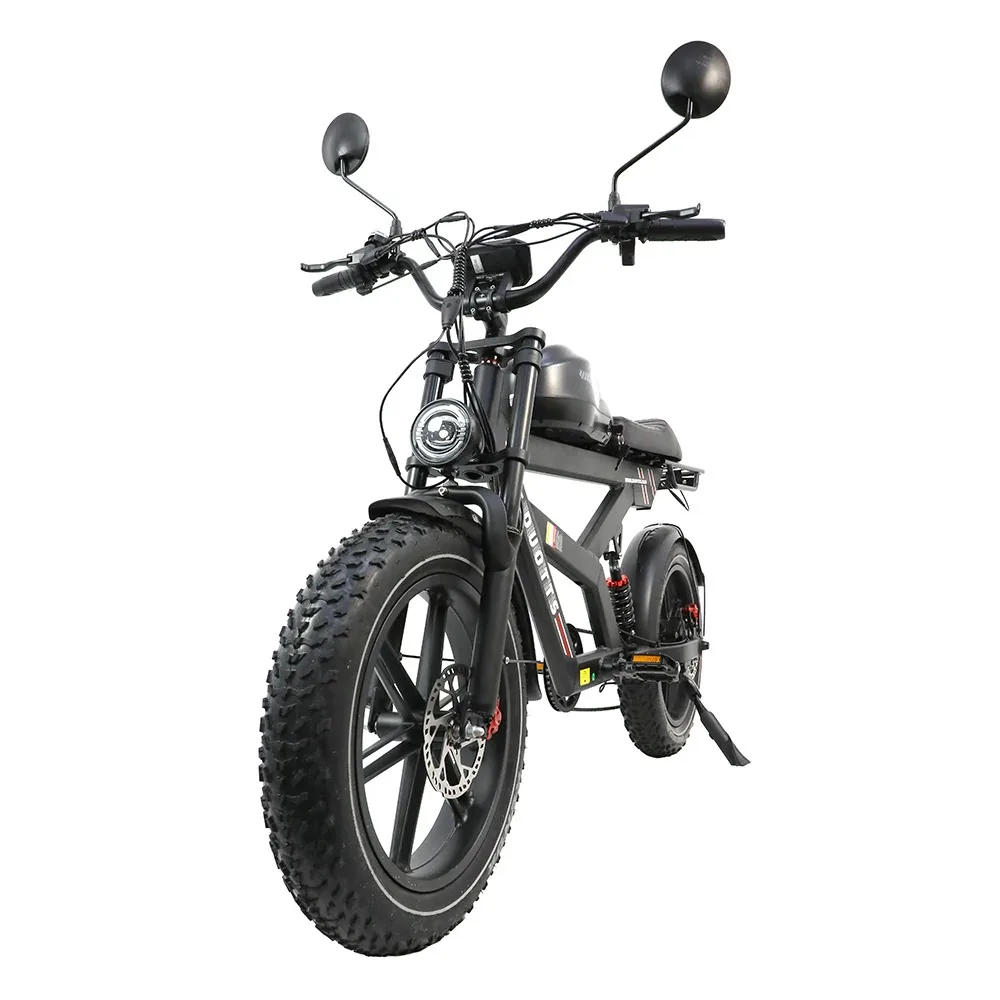 

DUOTTS F20 20" Retro Electric Dirt Bike 750W Motor 52V 27Ah Battery
