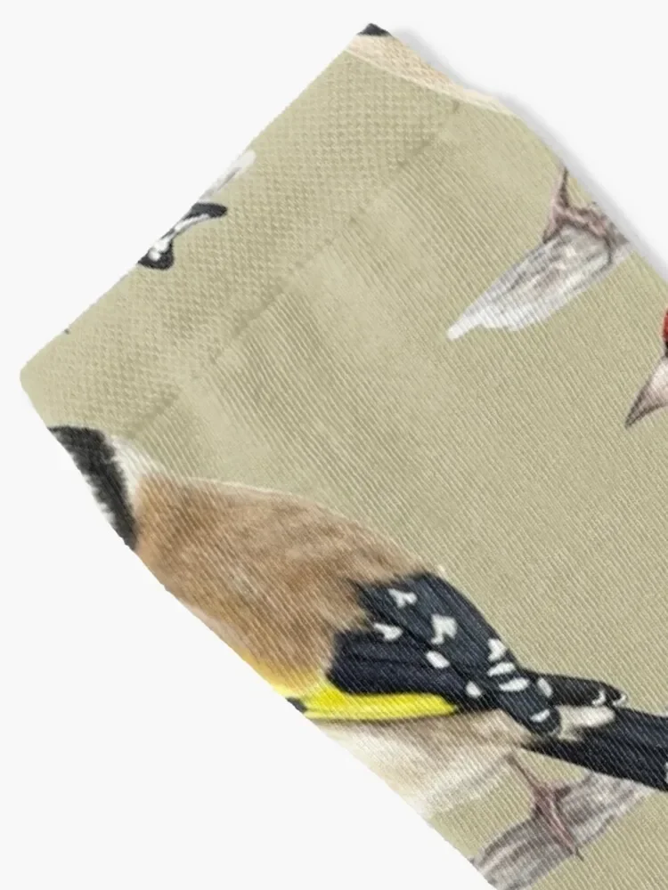 Detailed goldfinch watercolor hand drawn Socks hip hop sport Socks Women's Men's