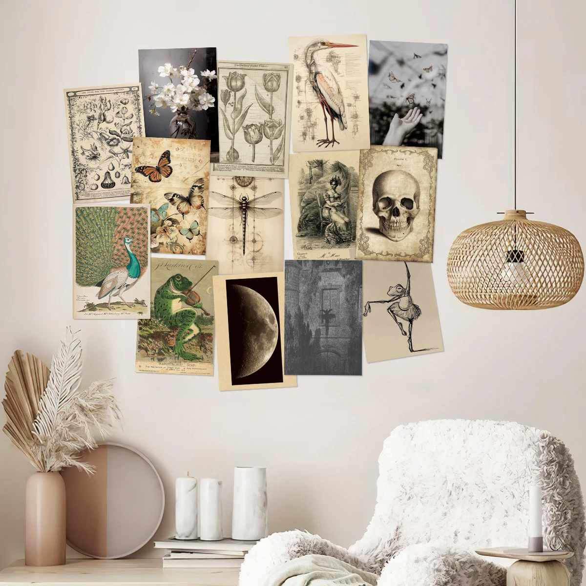 50pcs Vintage Poster Wall Collage Kit Room Decor Vintage Aesthetic Photo Collage Kit Insect Plant Postcard Halloween Decoration