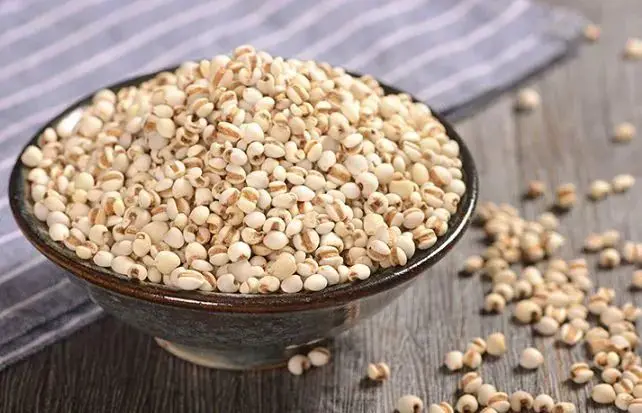 

RC Model Climbing Vehicle Off-Road Vehicle Model Airplane Storage Rack Wall Hanger RC Car Display Stand