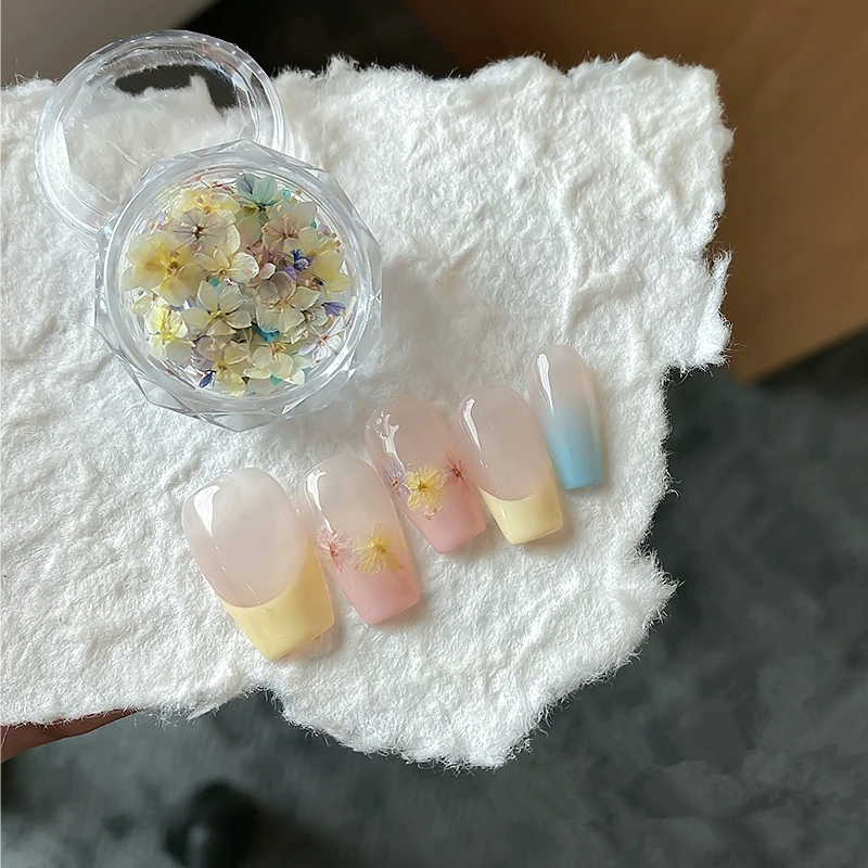 500 Dried Flowers Wholesale, V - Resin Art Instagram 评论和价格