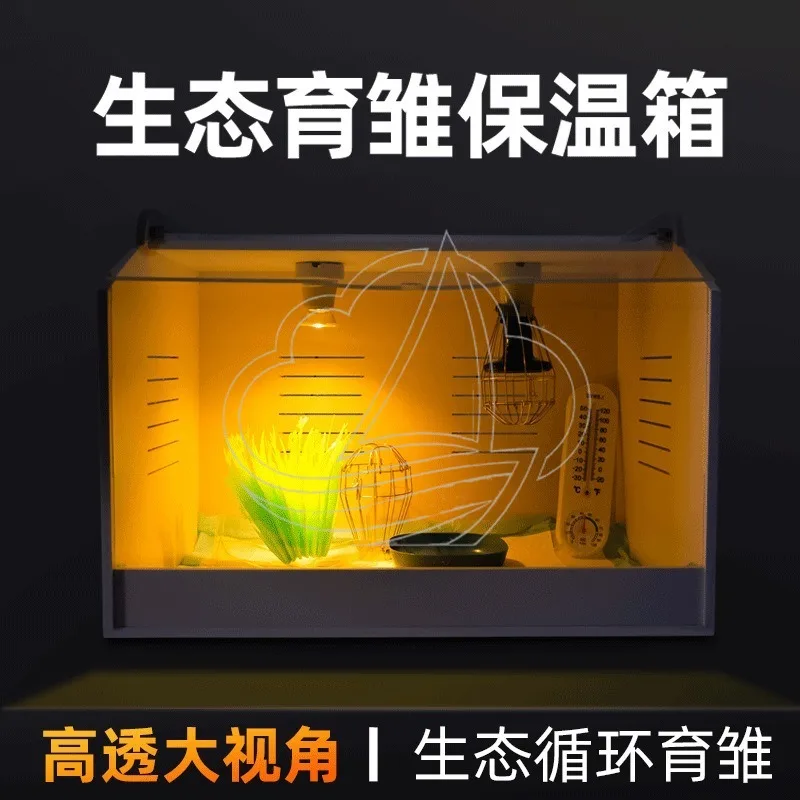 Wholesale Brooder Box for Chicks & Quails, Warm Breeding Box for Poultry & Reptiles