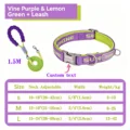 Purple set