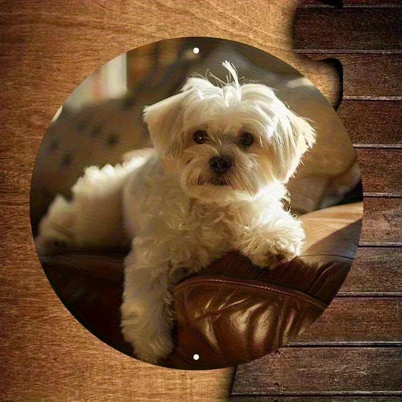 2D Flat, 1pc Cute Fluffy White Maltese Dog Metal Wall Decor - Vintage Pet Sign, Heavy-Duty Iron Construction, 8x8 Inches (20x20c