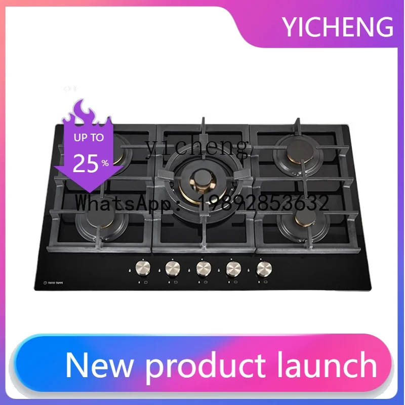 RQZ  Five-Eye Gas Stove Household Embedded 5-Head Stove Fierce Fire Natural Gas Stove