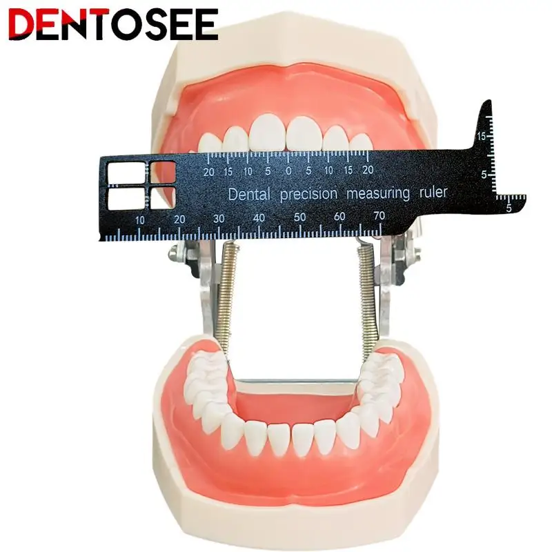 Dental Precision Measuring Ruler Medical Tool For Photography And Dentistry