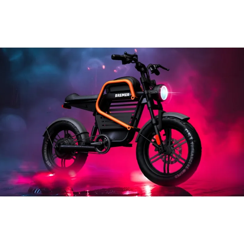

Electric bicycle M20 new national standard electric vehicle retro straddle motorcycle off-road