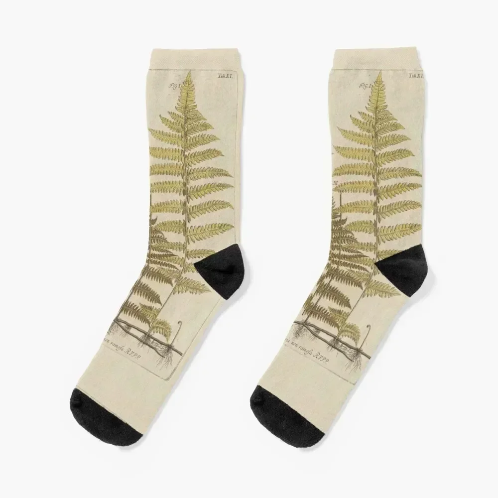 

Vintage Fern Botanical Socks designer funny sock winter thermal anti-slip Socks Male Women's