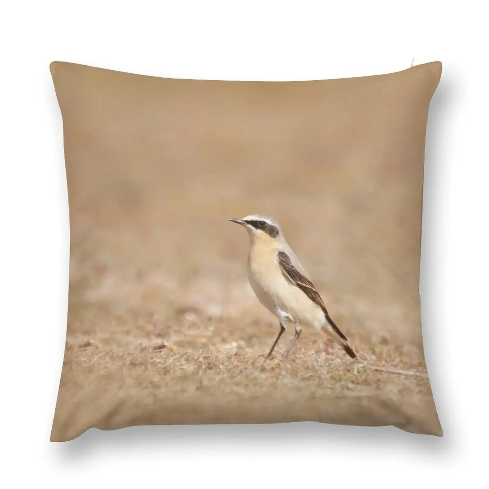 Wonderful wheatear Throw Pillow Couch Pillows Sofa Cushion Cover pillow