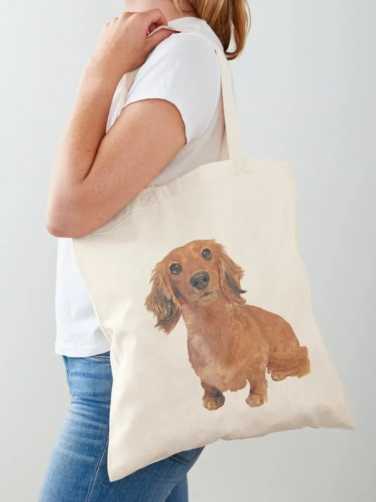 Cute Long Haired Dachshund Painting Tote Bag reusable grocery bags large size bags bags woman 2025 woman shopping bag