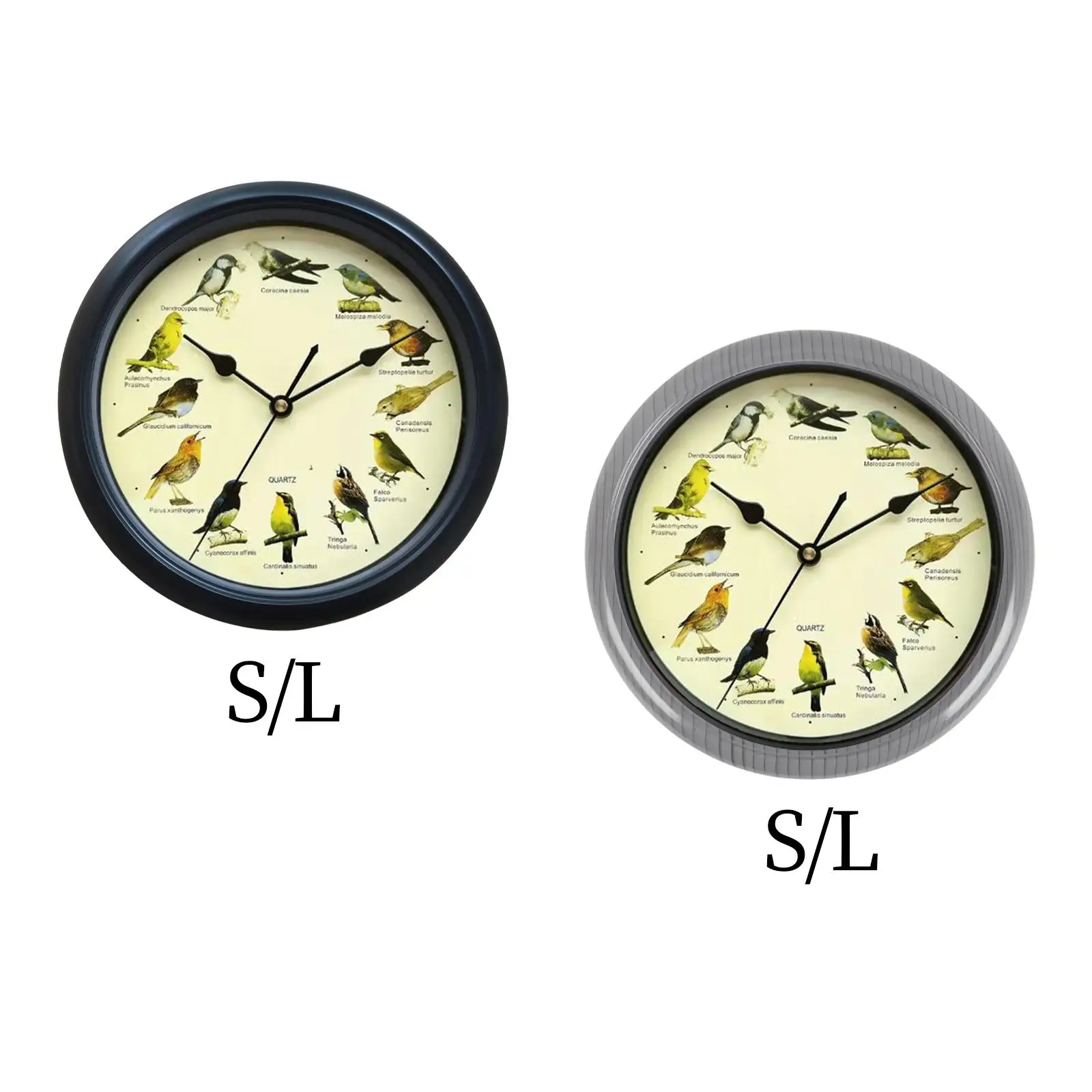 Singing Wild Bird Wall Hanging Clock Decorative Battery Operated Room Decoration for Outdoor Enthusiast Housewarming Gift