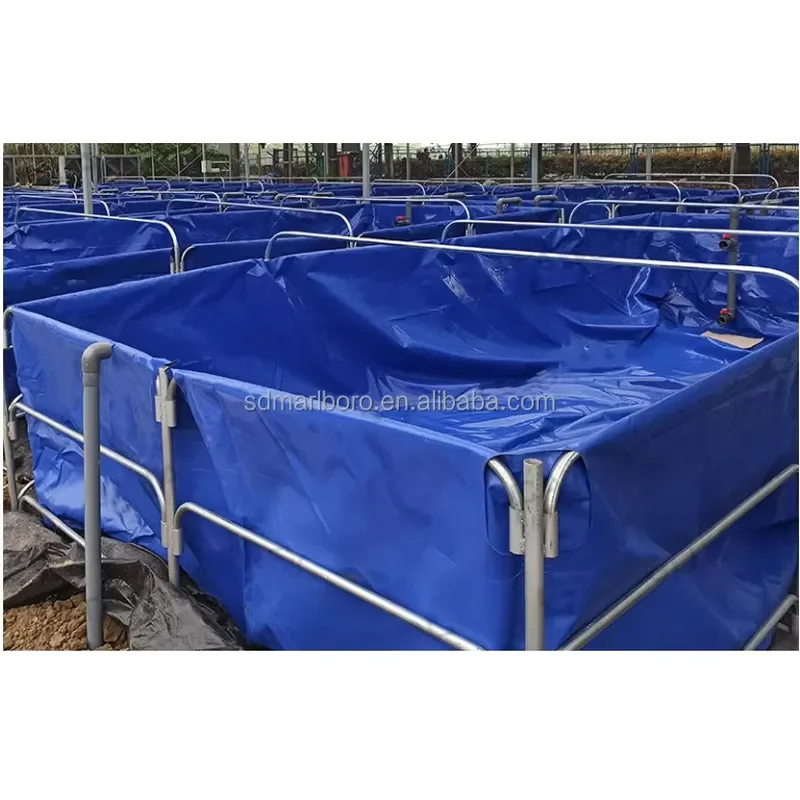 Equipo de Alta Calidad para la Cría de Tilapia, Tanques de Plástico Comerciales para Peces, Tanques Rectangulares para Estanques de Peces al Aire Libre
