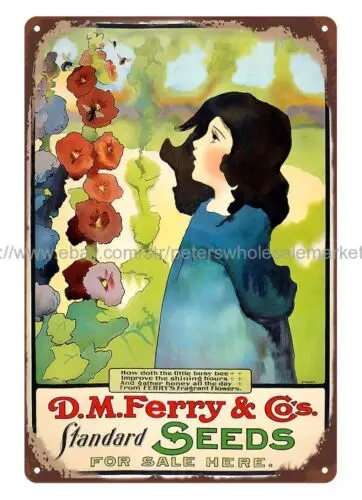 1900s D. M. Ferry & Co's Standard Seeds pretty girl flower metal tin sign