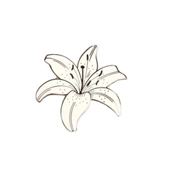 White Lily Enamel Pin Needle Minder, Plant   Botanical    Flower Lapel