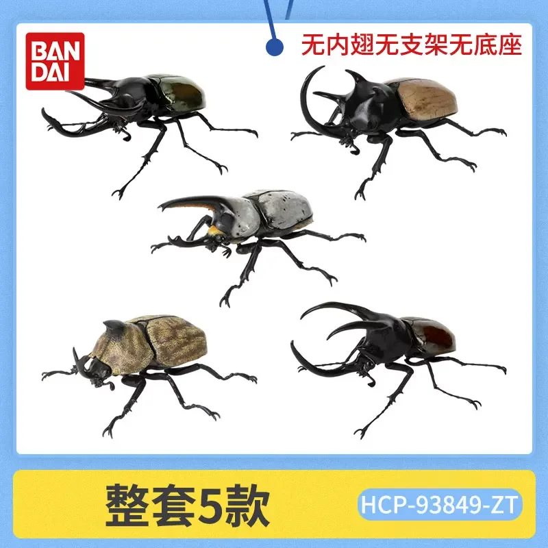 

Коллекционная модель насекомого Bandai Gashapon Realistic Beetle 10: реалистичная имитация жука, украшение для рабочего стола для коллекционеров
