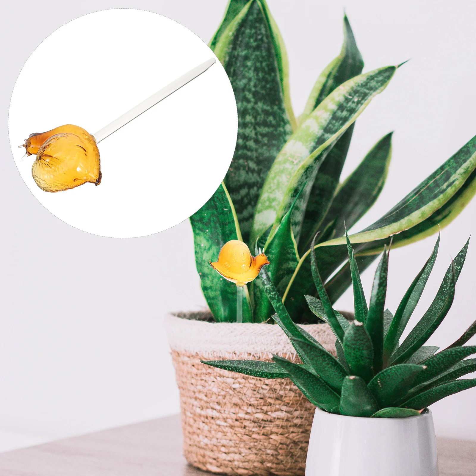 

Self Planter Insert Glass Automatic Plant Waterer for Potted Plants Indoor Garden System Vacation Use