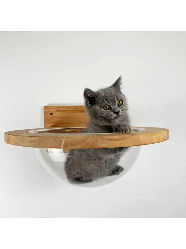 

1PCS DIY Pet Cat Wall House Wall-Mounted Transparent Space Capsule Wooden Cat Climbing Frame Kitten Bed & Springboard