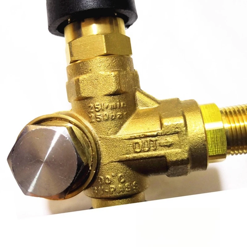 

High pressure cleaner pump head pressure regulating valve inner backwater backflow assembly matching