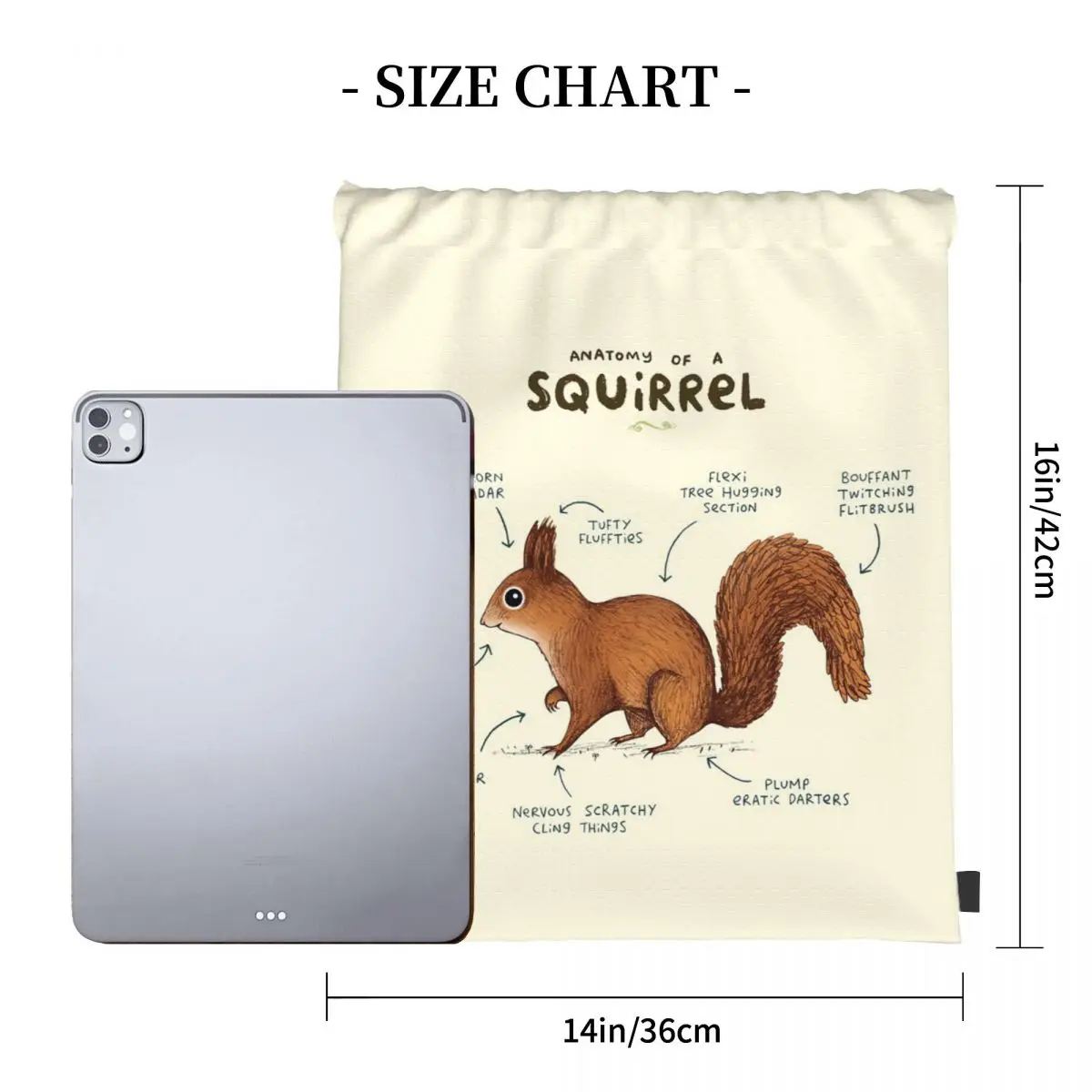 Anatomy Of A Squirrel Backpacks Multi-function Drawstring Bags Drawstring Bundle Pocket Sports Bag Book Bags For Travel Students