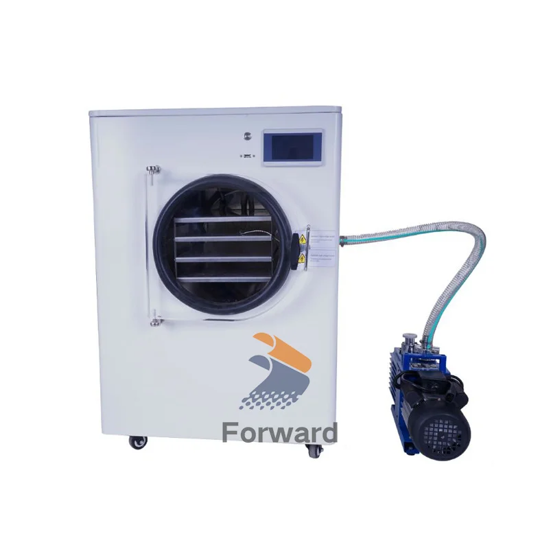 -55 degree Low Temperature Vacuum Freeze Dryer Machine Vegetables Fruit Vacuum Freeze Dryer Mini Lyophilizer Food Freeze Drying