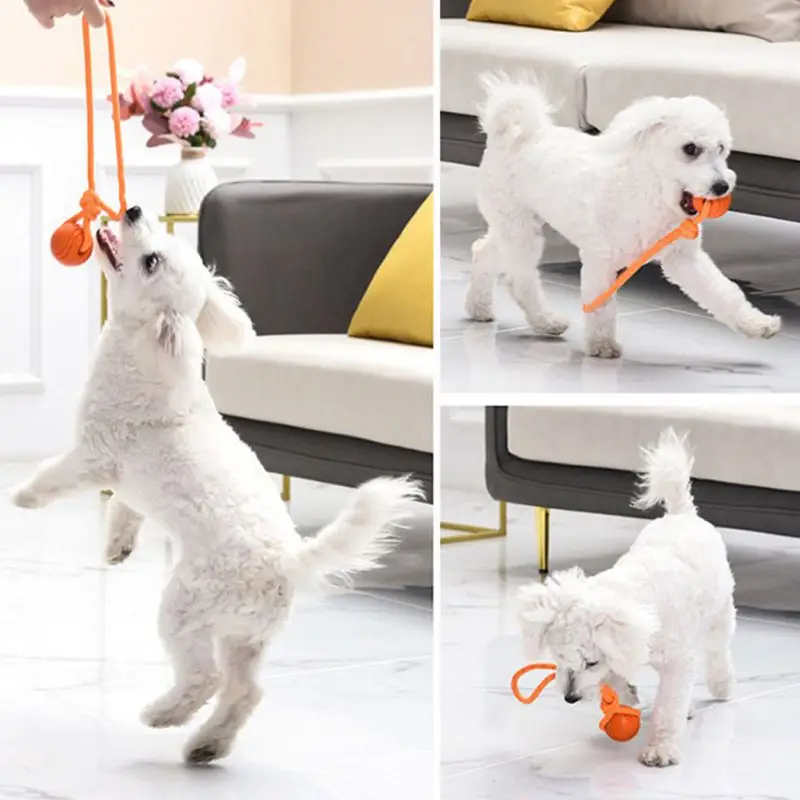 Dog Ball with Rope Exercise and Training Toy for Small Medium Dogs Interactive Pull Throw Toy for Indoor Outdoor