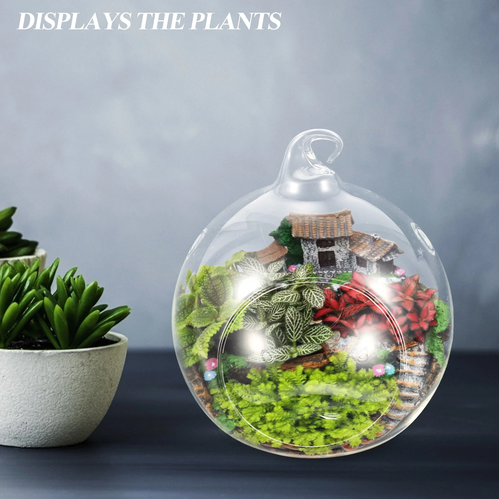 

2 Pcs Air Plant Container Terrarium Decor Indoor Terrariums Globes Hanging Containers