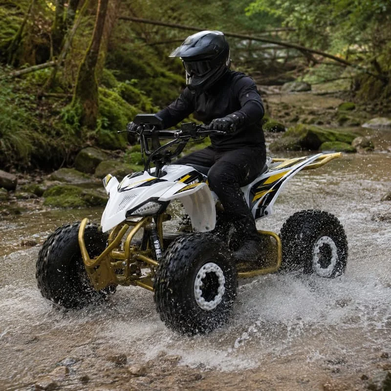 Adult Dune Buggy Customized Four Wheel ATV Sport Quad Bike Offroad All Terrain Performance Vehicle Outdoor Adventure