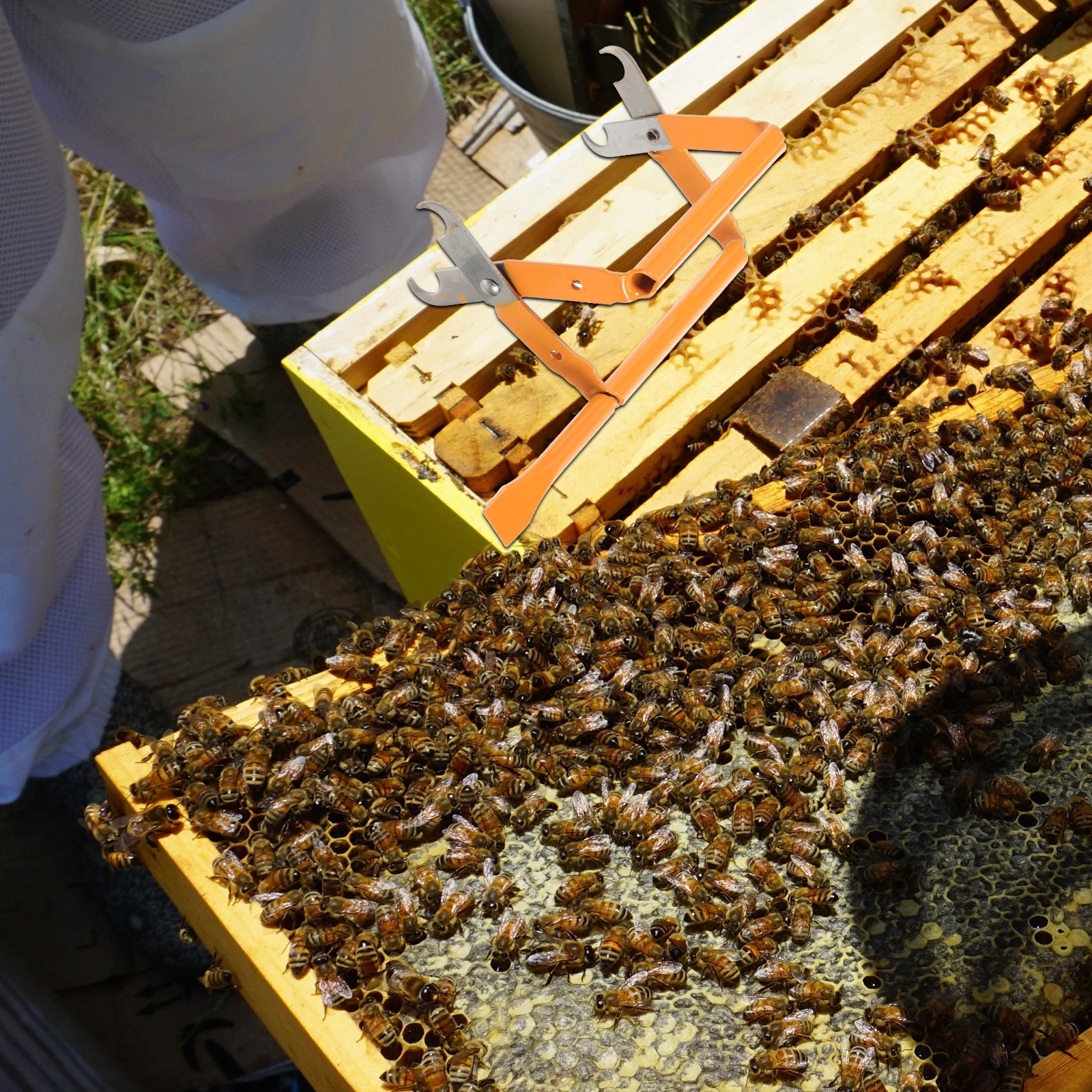 

Ergonomic Beekeeping Tools Honeycomb Frame Grip Apicultura Equipment Must Have Safe Beehive Lifter Maintenance Gardening